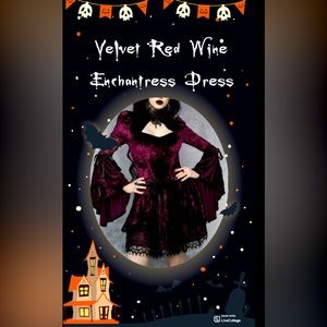 Dolls Kill Wine Tempting Enchantress Dress - NEW!